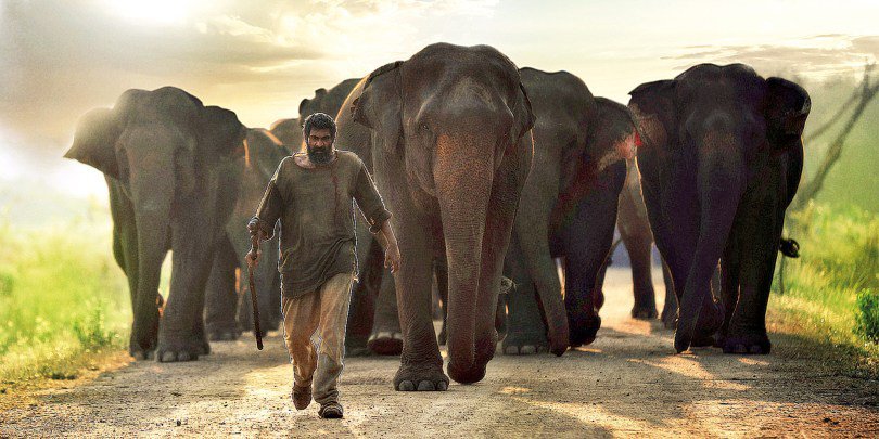 Hathi mere sathi